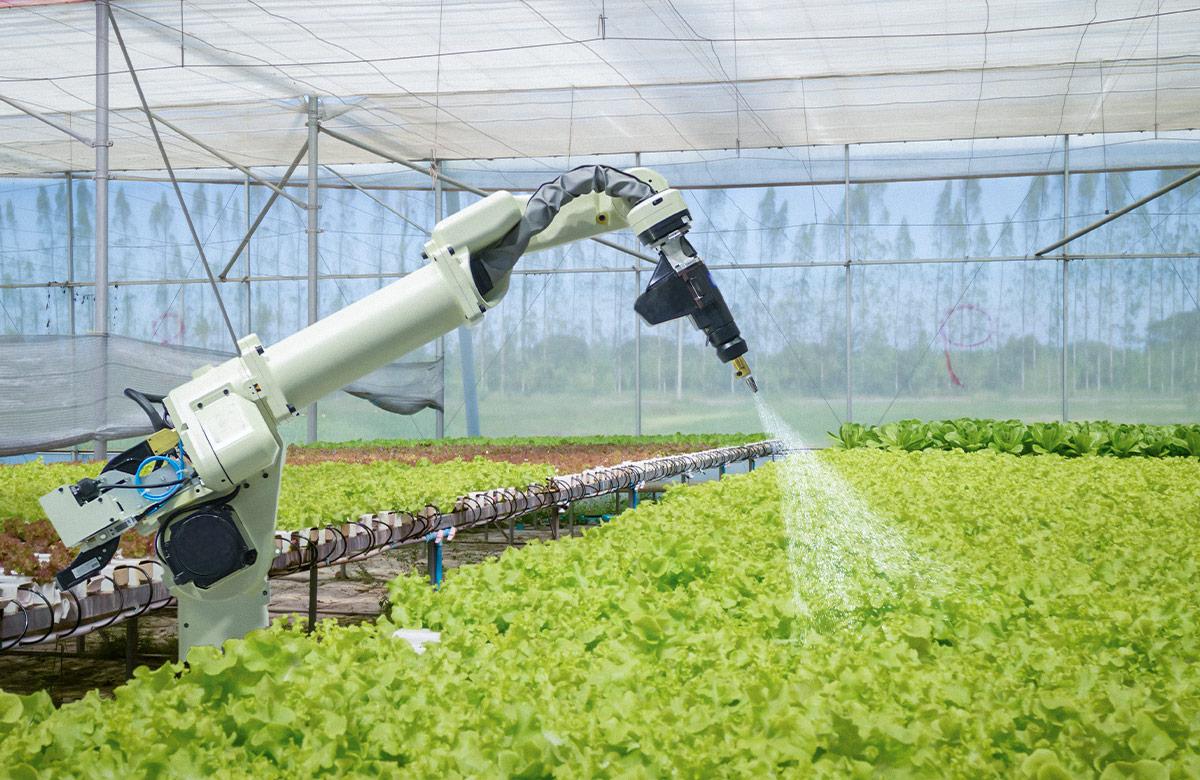 Photograph of a large spraying device in an agricultural warehouse